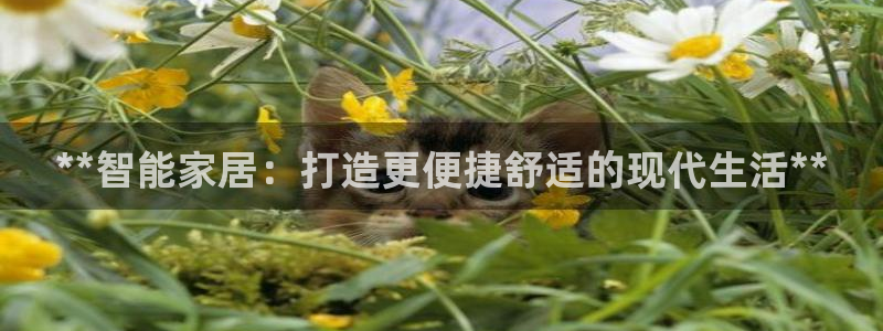 ug环球会员注册开户