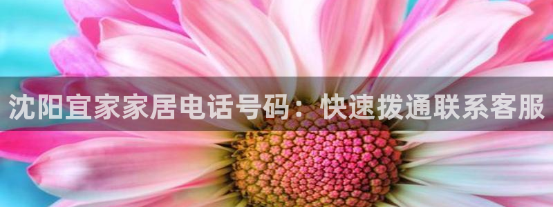 ug环球会员注册开户