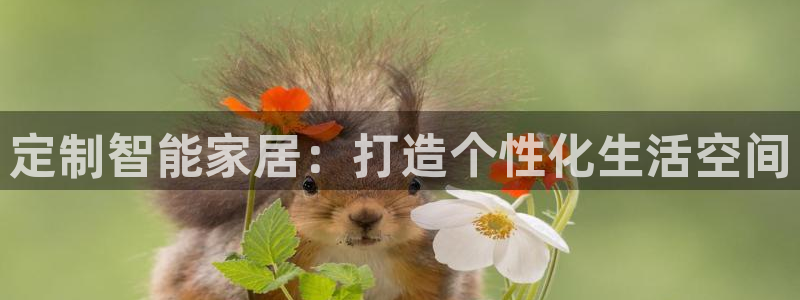 ug环球官网会员注册