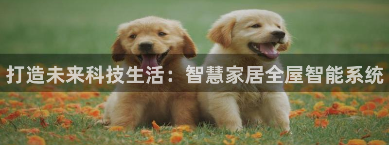 ug环球会员注册开户