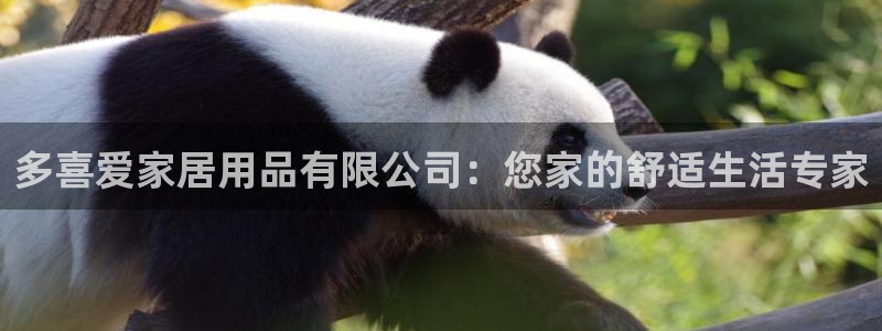 环球ug官网会员注册