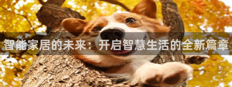 UG环球视讯下载