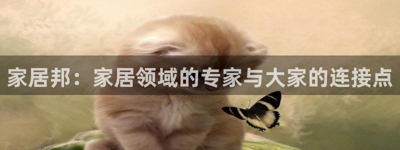 ug环球官网注册会员登录